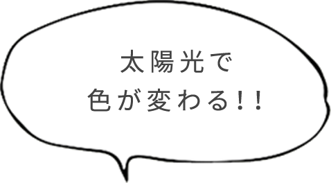 太陽光で色が変わる！！